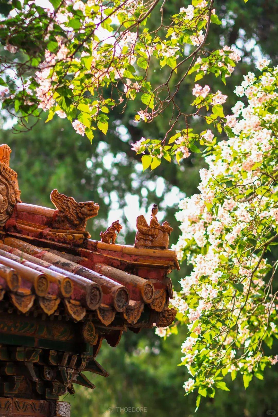 定制游满足您对北京之旅的所有想象澳门新葡