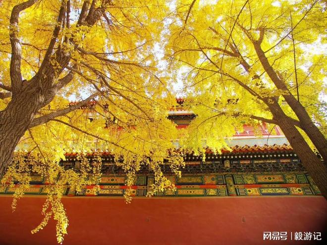 深度测评：这5家让行程价值翻倍！新葡京2