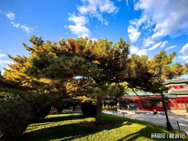 深度测评:这5家让行程价值翻倍!新葡京2025北京定制游旅行社(图2) 深度测评:这5家让行程价值翻倍!新葡京2025北京定制游旅行社(图2)