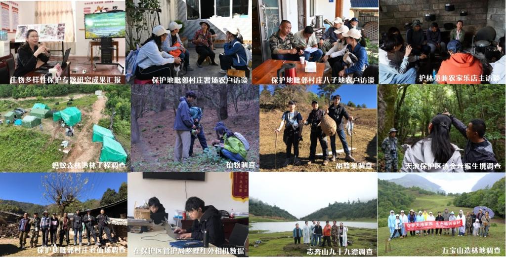 ”全国二等奖让生物多样性成为乡村振兴“新亮点”澳门新葡京网站同济大学定点帮扶项目获“挑战杯(图1)